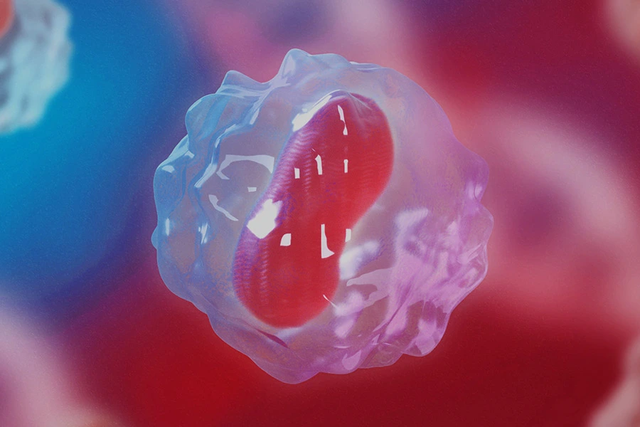 残留宿主細胞DNAリスク評価