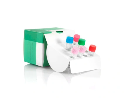 菌類DNA検出キット