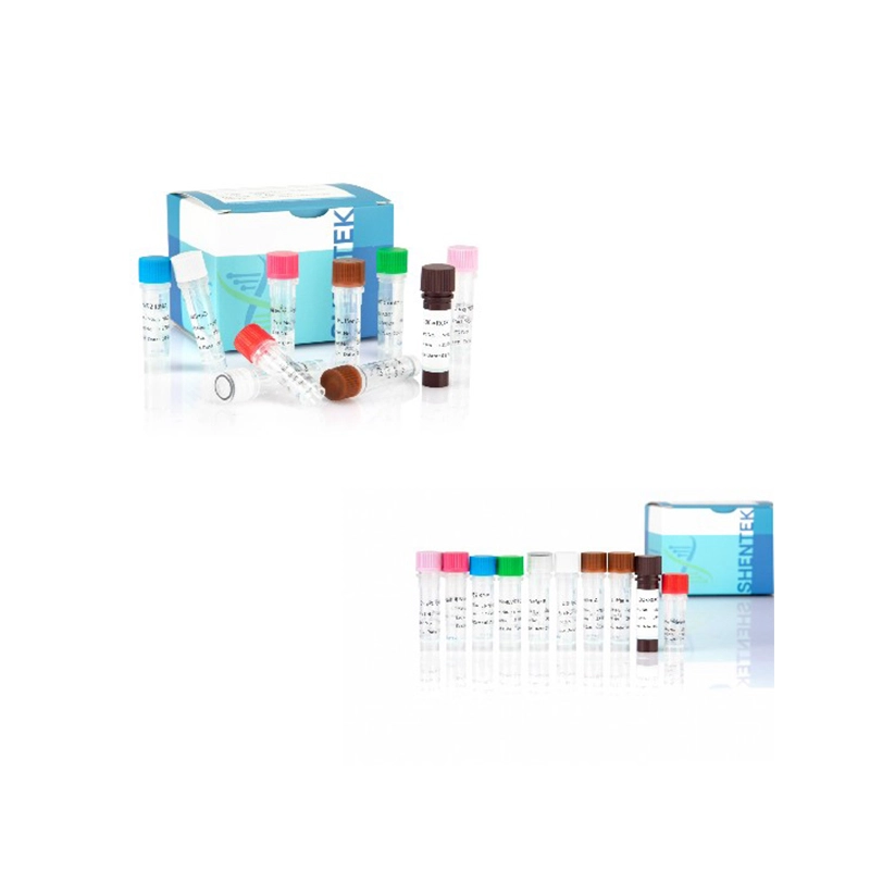 セルラインの特徴付け