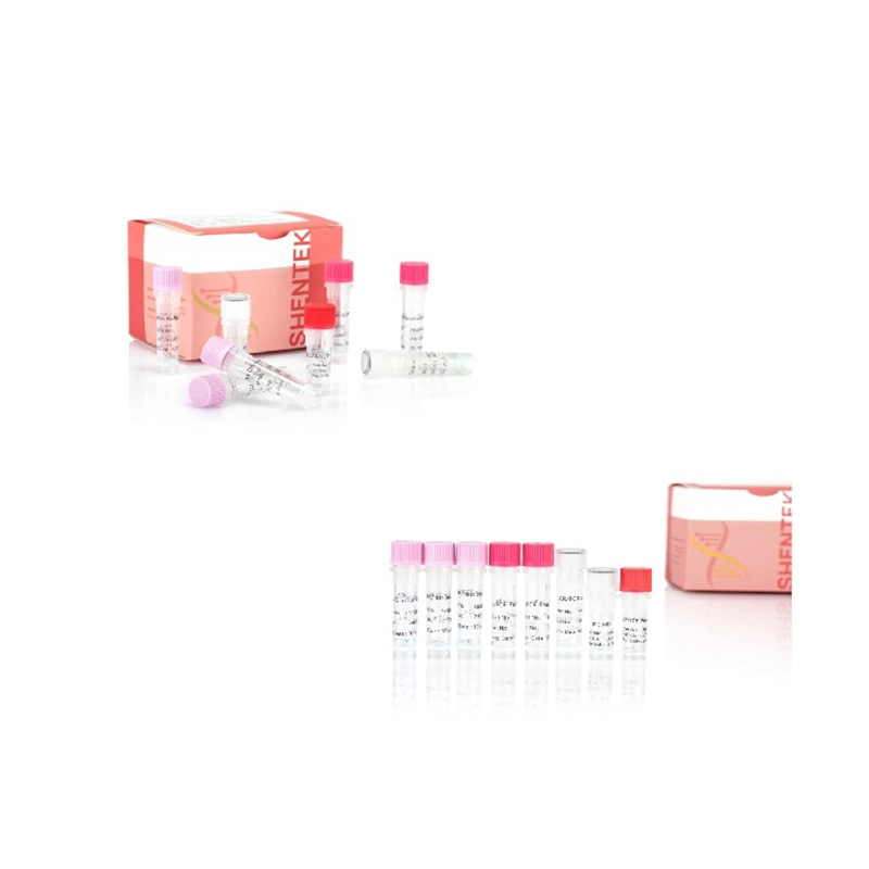 ターゲットシーケンスQCキット