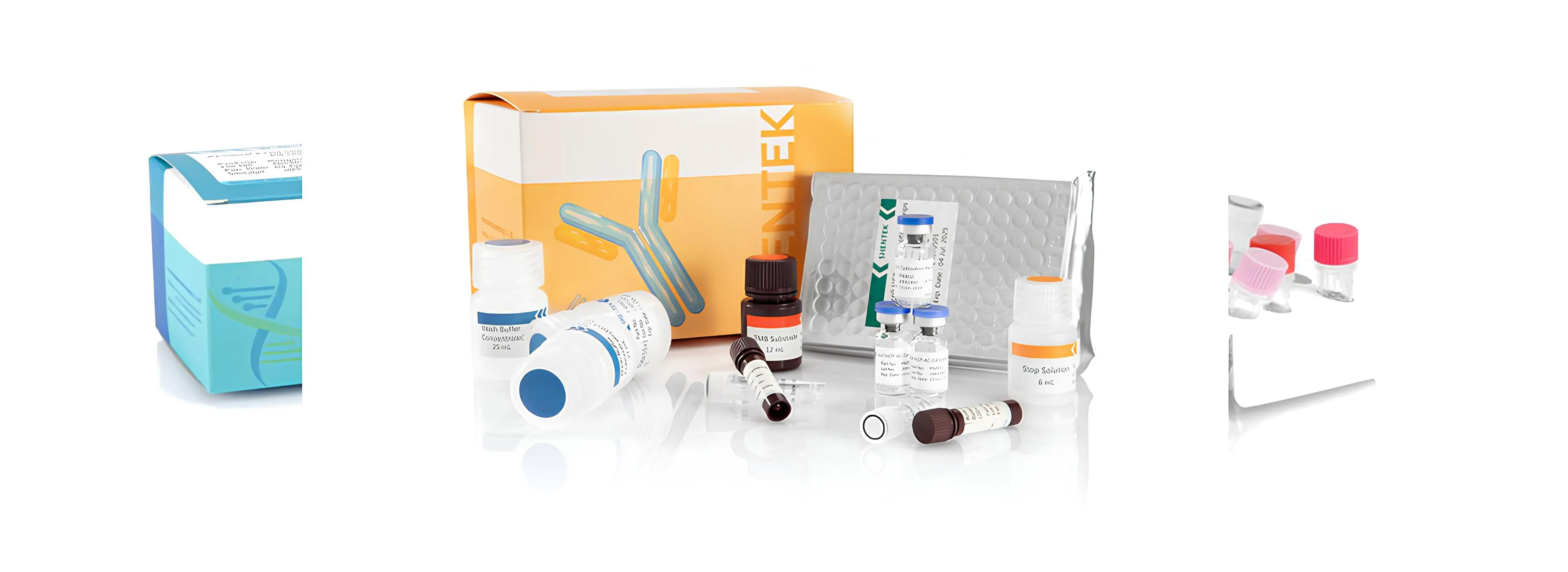 プロセス不純物アッセイ