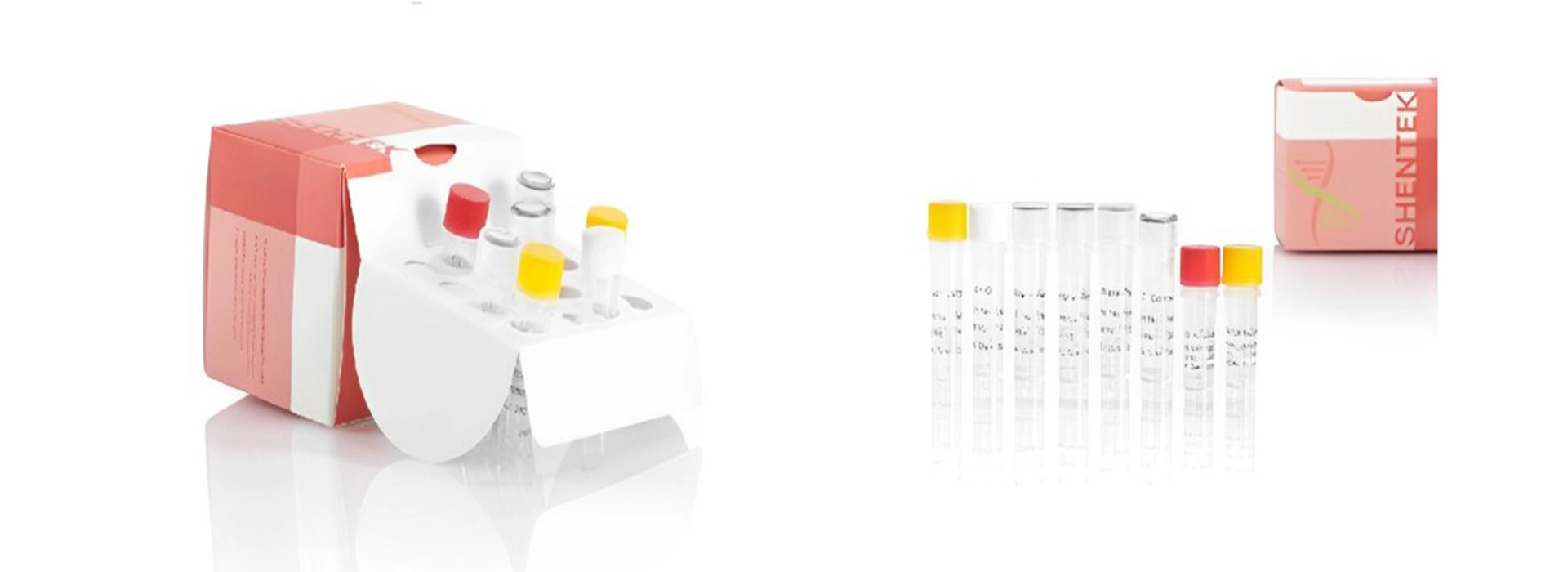 ターゲットシーケンスQCキット