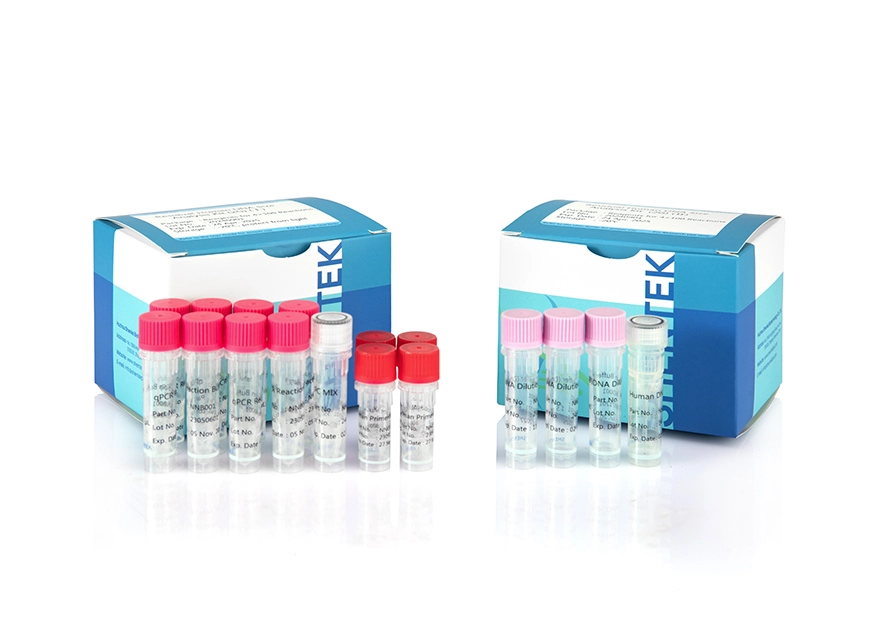 残留ヒトDNAサイズ分析キット (2G)