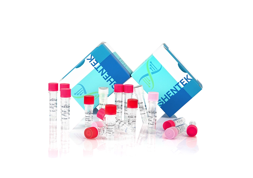 残留E. coli DNAサイズ分析キット (2G)