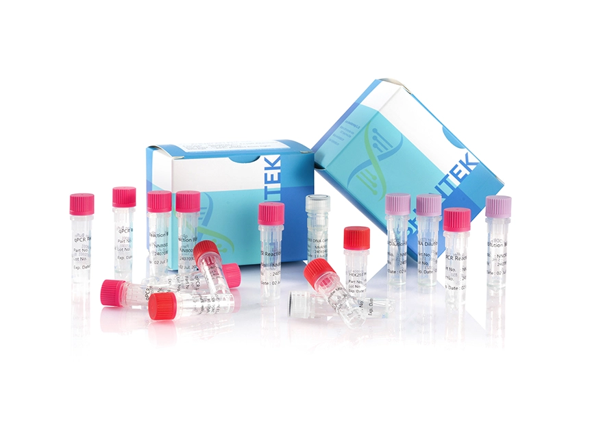 残留HEK293 DNAサイズ分析キット