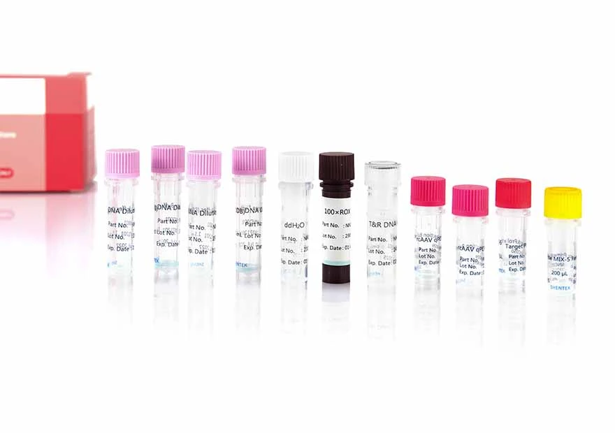 RcAAV-5/N定量キット