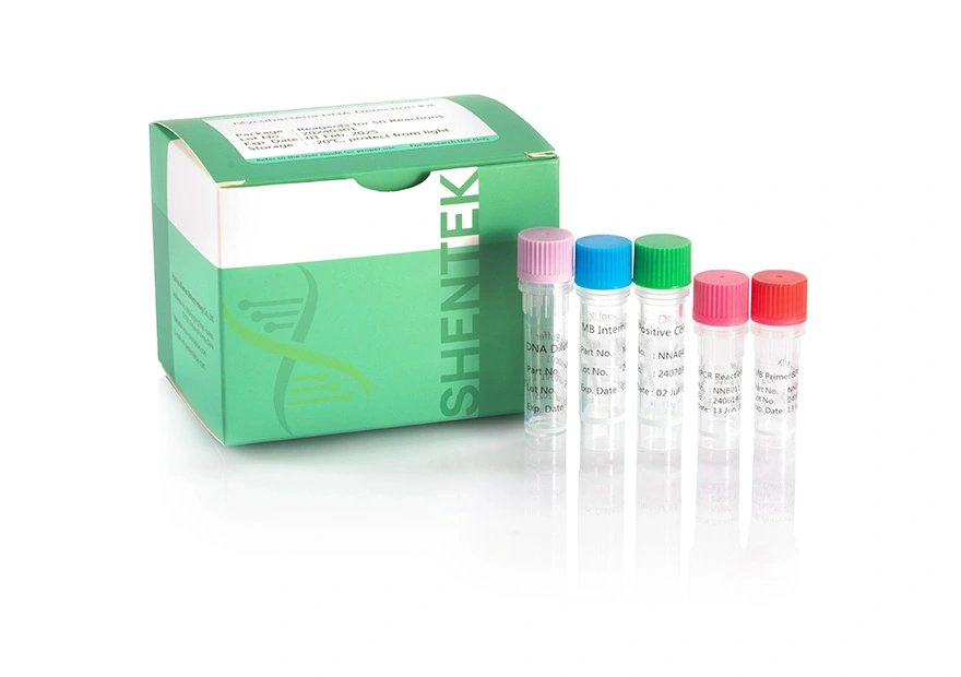 マイコバクテリアDNA検出キット