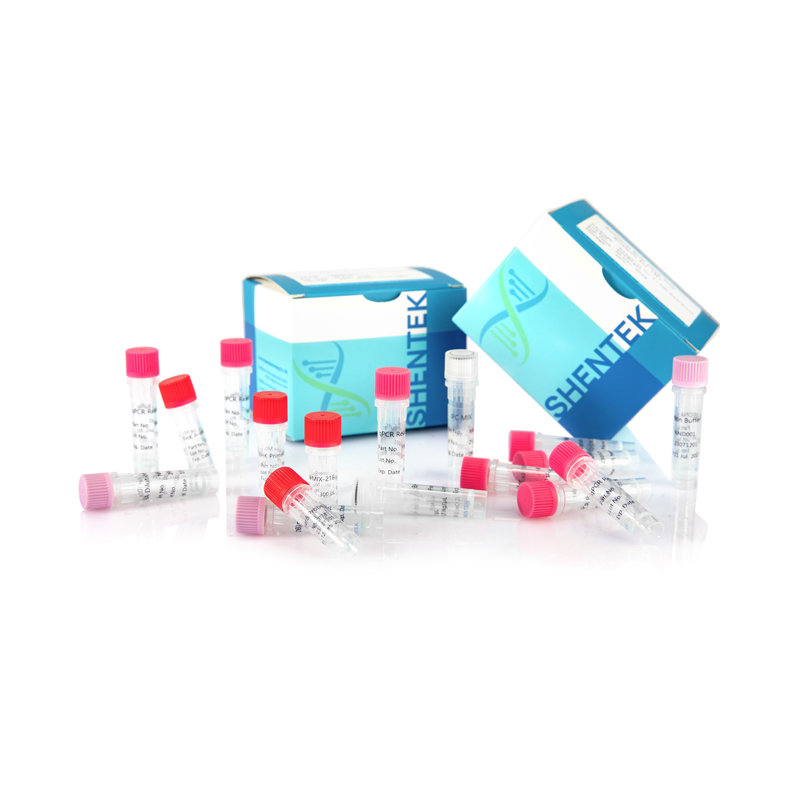 残留BHK DNAサイズ分析キット