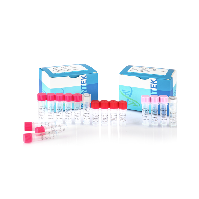 残留CHO DNAサイズ分析キット (2G)