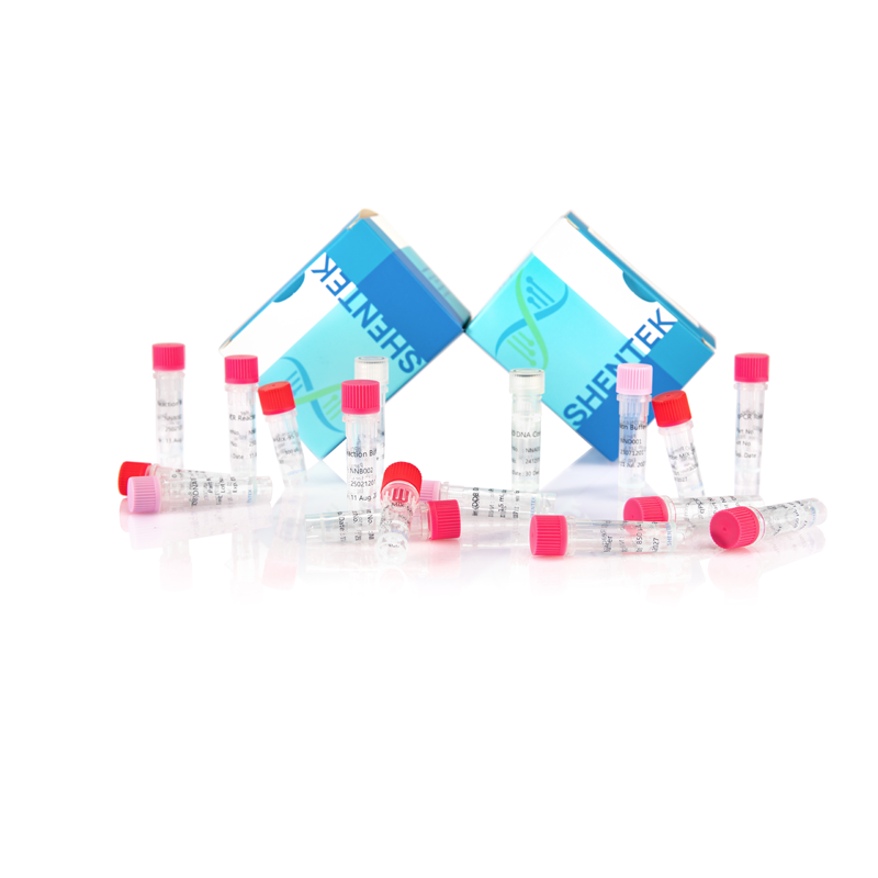 残留CHO DNAサイズ分析キット (2G)