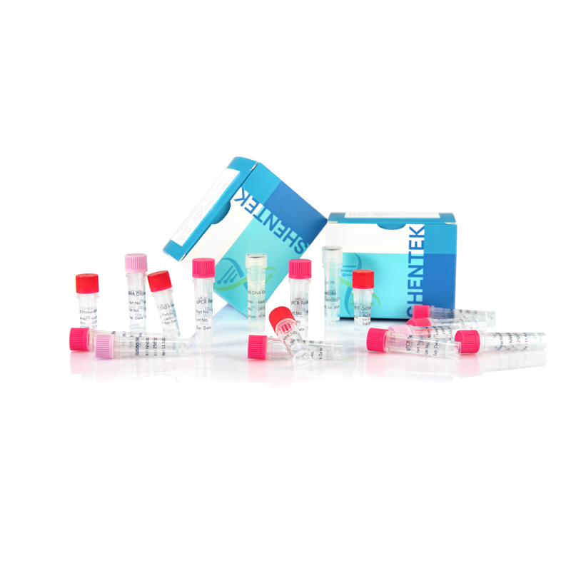 残留CHO DNAサイズ分析キット (2G)