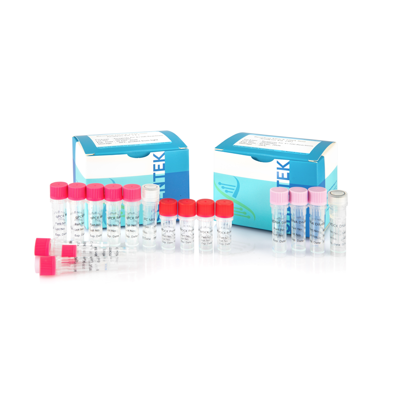 残留MDCK DNAサイズ分析キット