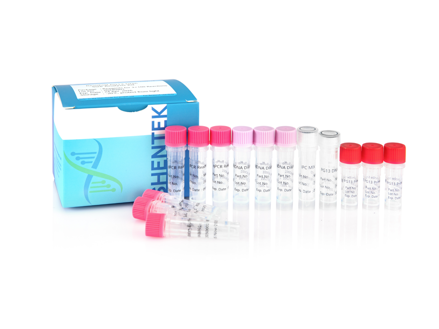 残留PG13 DNAサイズ分析キット