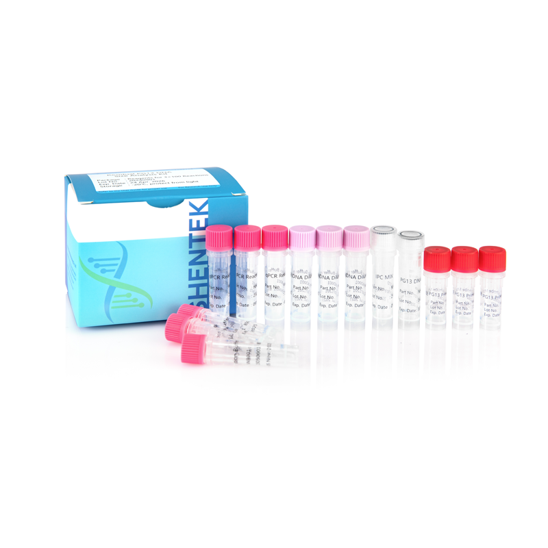 残留PG13 DNAサイズ分析キット