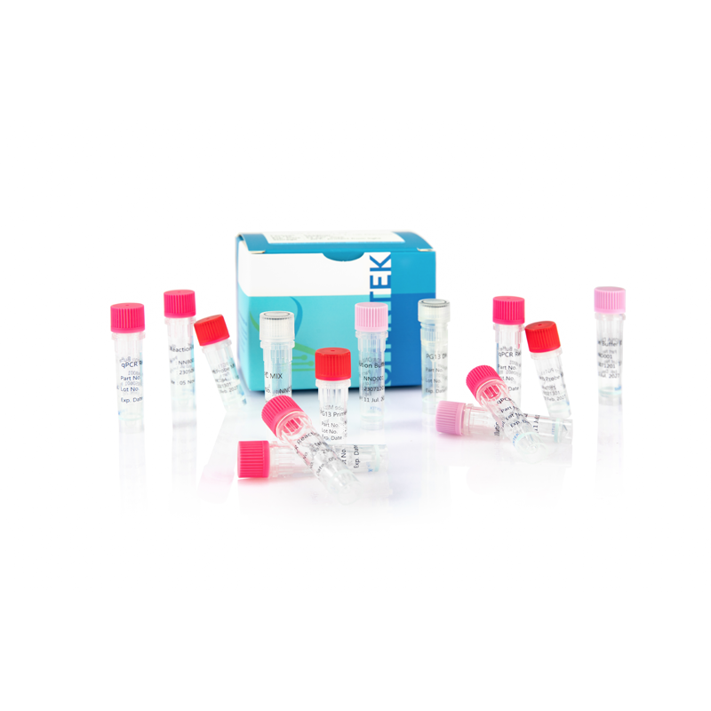 残留PG13 DNAサイズ分析キット