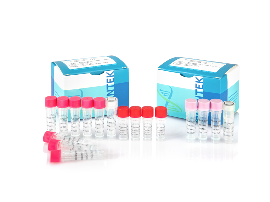 残留Sf9残留DNAサイズ分析キット