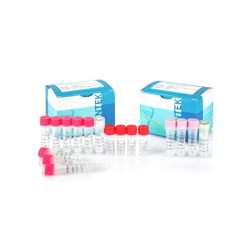 残留Sf9残留DNAサイズ分析キット