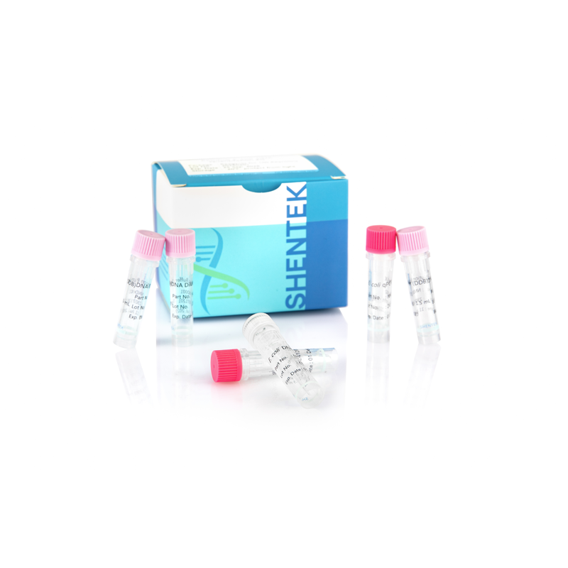 残留E. coli DNA定量キット