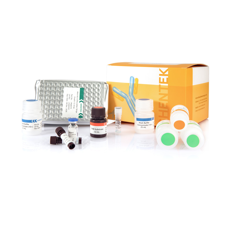 ヒトIL-6 ELISAキット